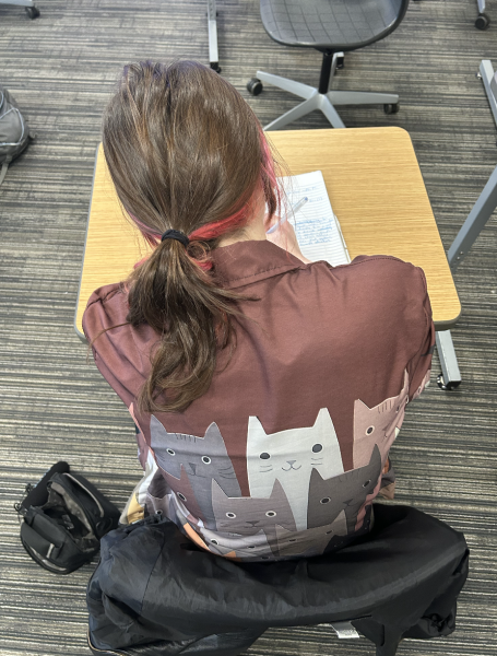 Sofia Fernadez works on in-class assignment